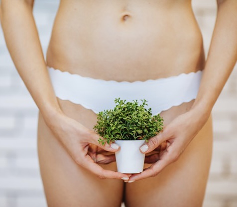 Brazilian Wax at Zen Skin by Bee in La, LA