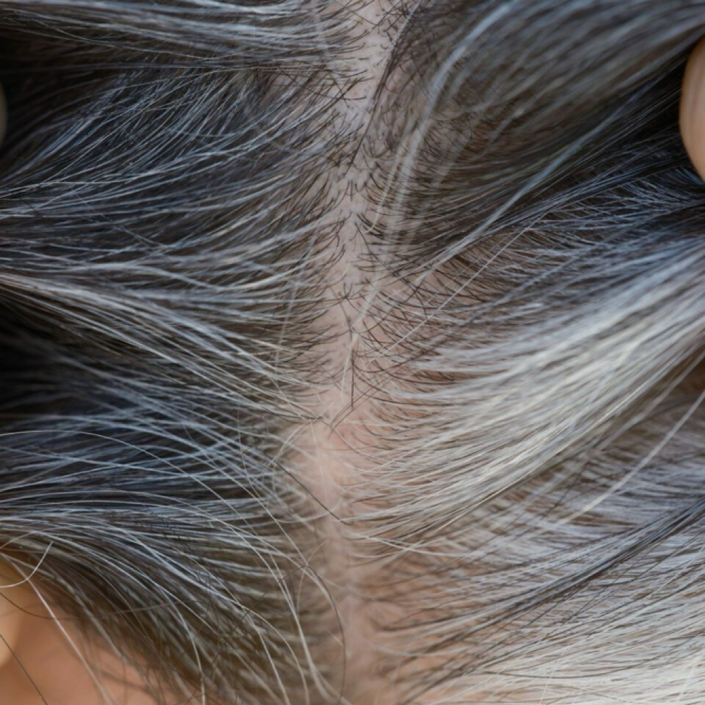 Root Shade Retouch (6-8 weeks) at Dimensional Dallas in Grand Prairie Tx, TX