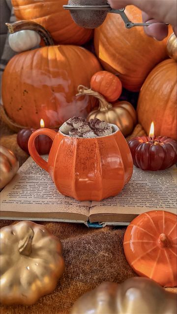 Pumpkin Cocoa Dreams