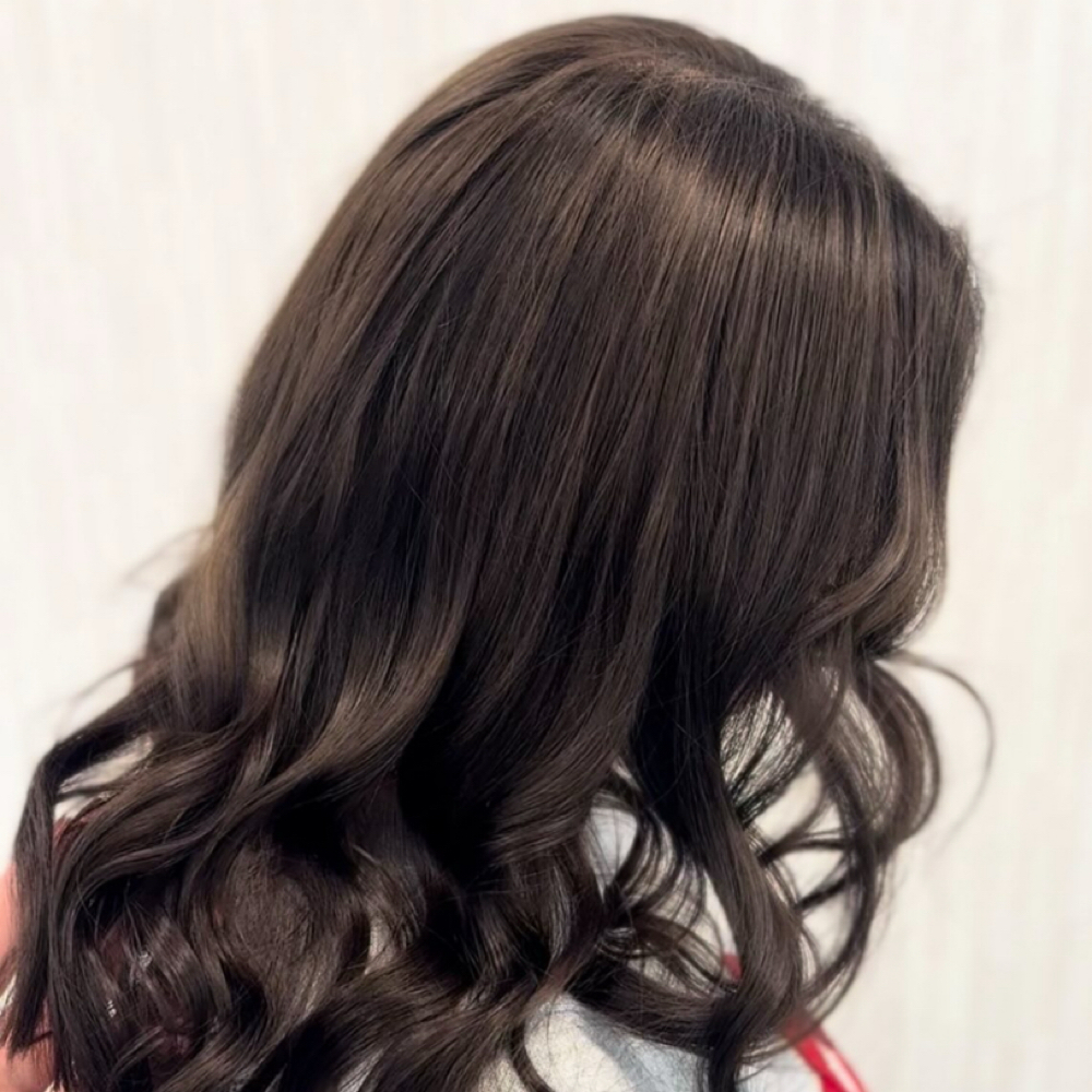 All Over Color at Irini’s Beauty Salon in Farmington, MI