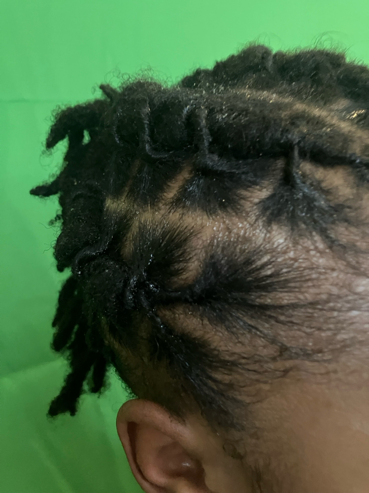 Kids Starter Dreads