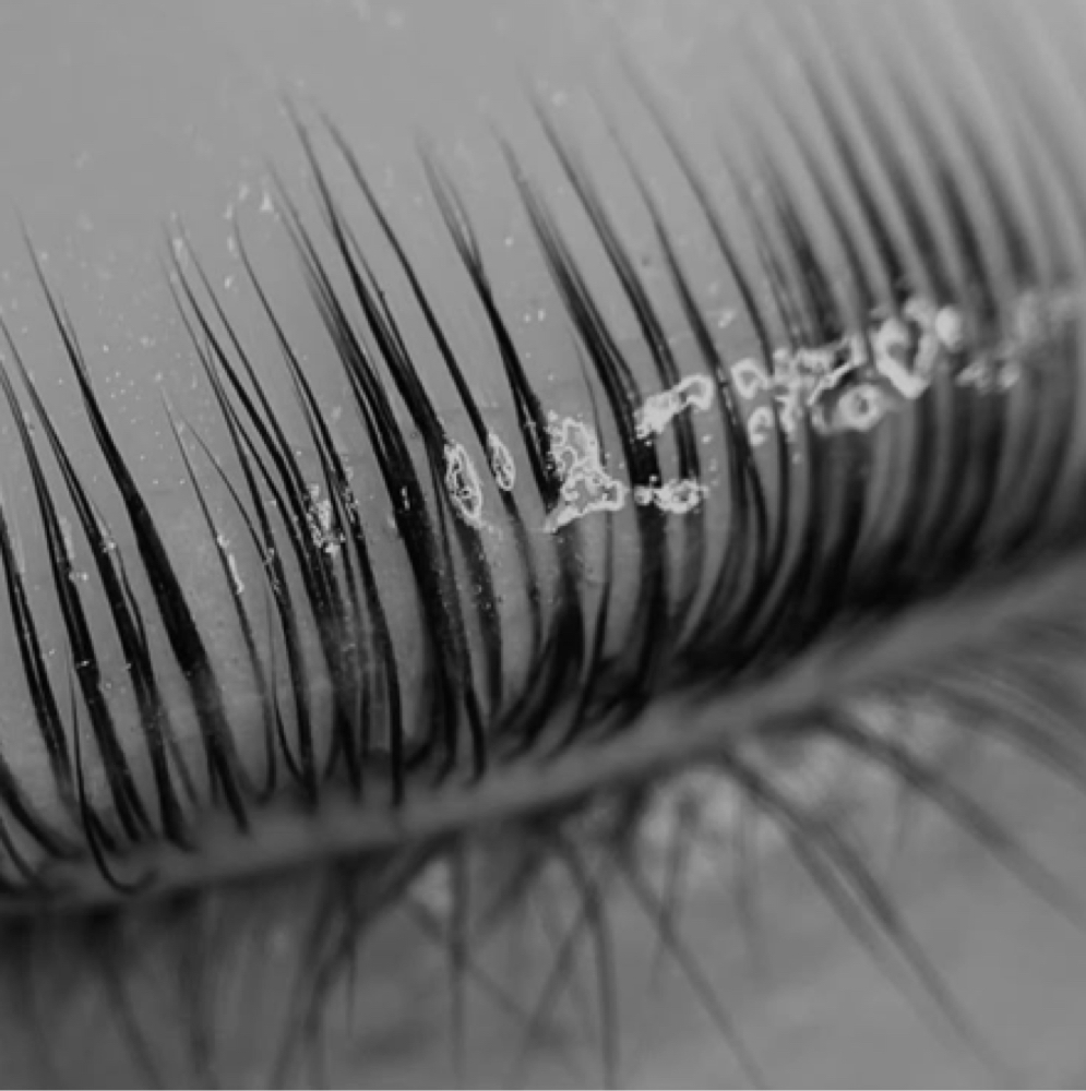 Lash Services at Browology Beauty Bar in Marrero, LA