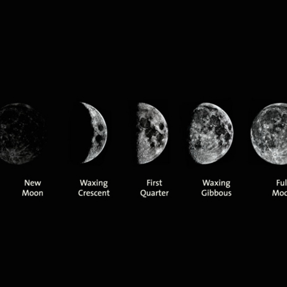 Grow Your Money With The Moon 🌕 at Psychic Medium Michelle in Gurnee, IL