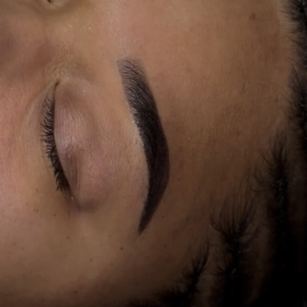 Brow Wax + Tint at Le Beautique in Allen Park, MI
