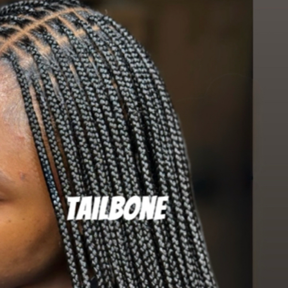 Small Knotless ( Tailbone) at Fa2 Hair Salon in Vienna, VA