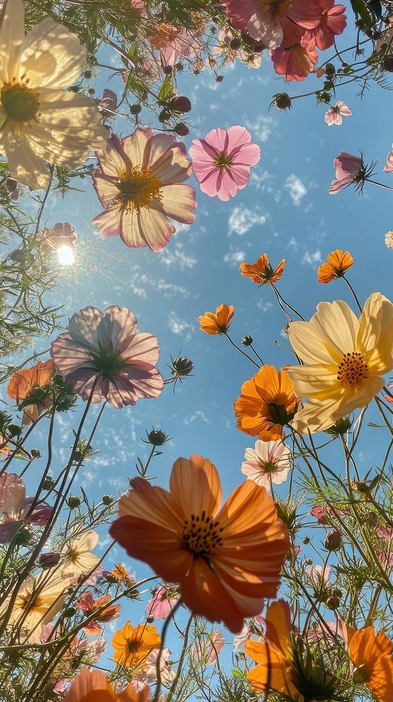 Botanical Bloom Summer Facial