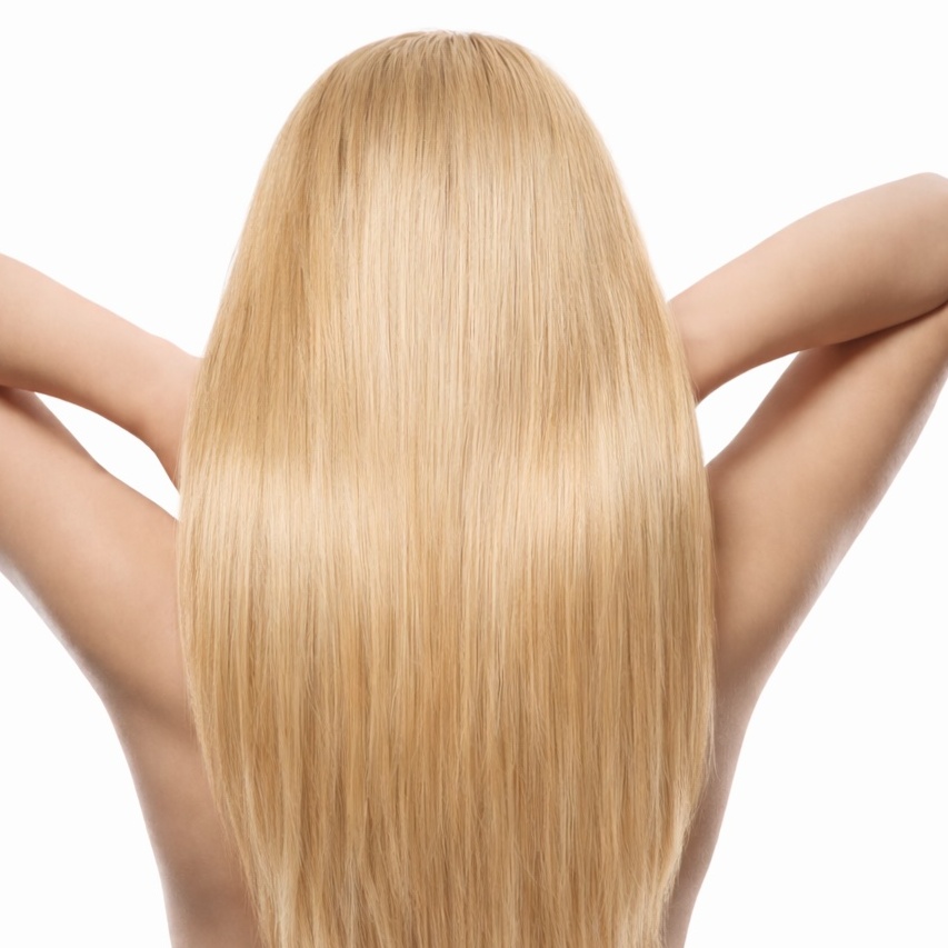 Bio Protein at Summer's Blowout in Northbrook, IL