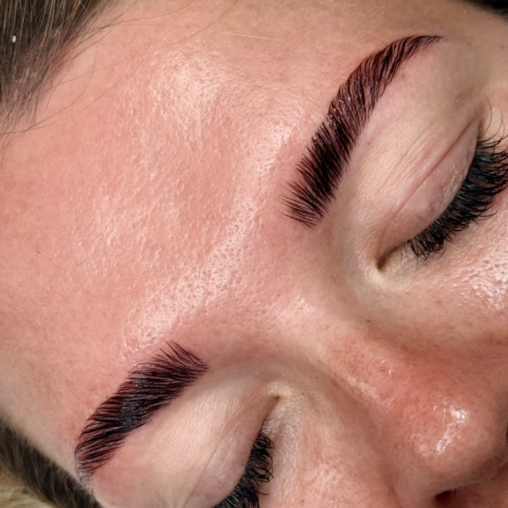 Brow Tint at Alluring Lashes in Wesley chapel, FL
