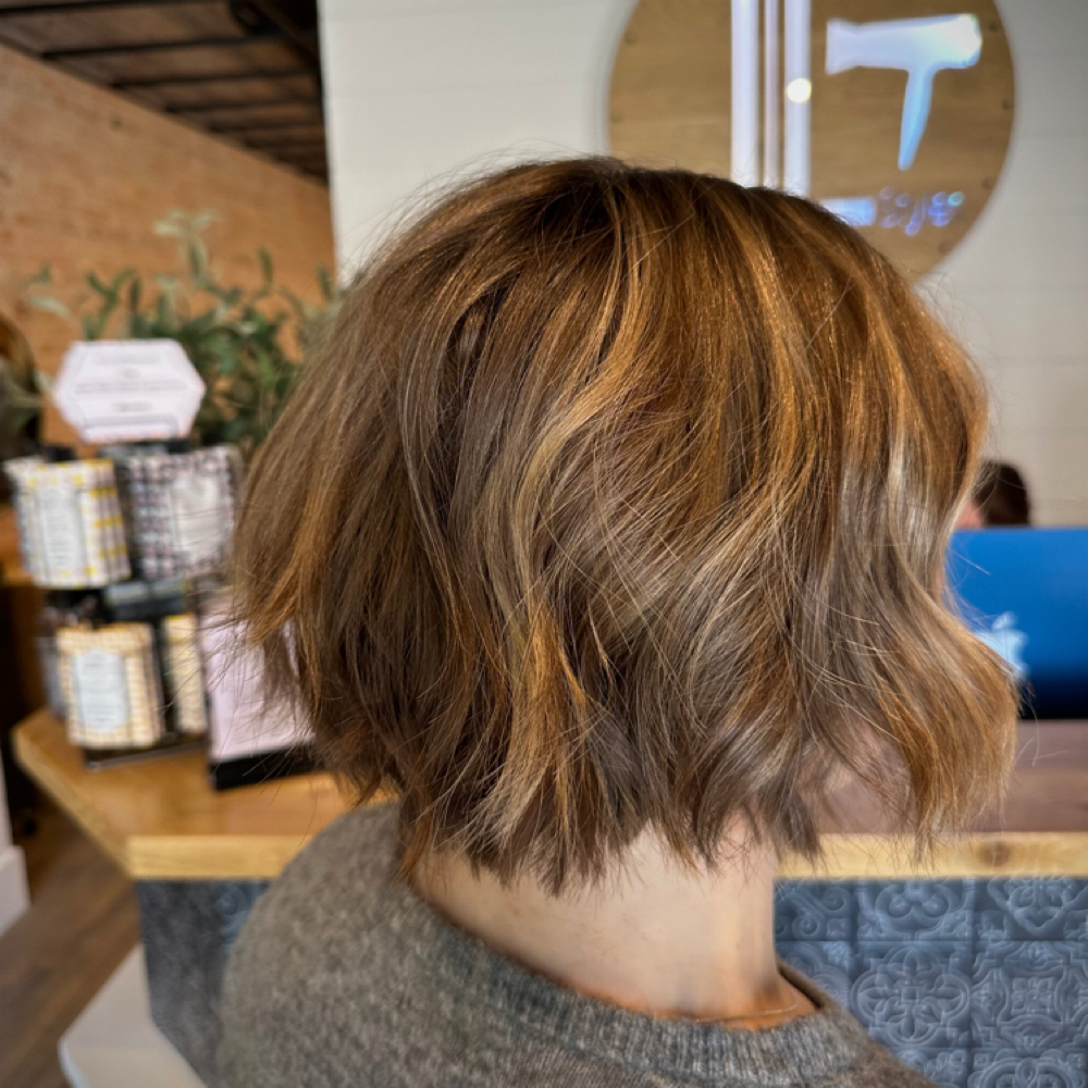 Root Touch Up at Lovelybee Studio in Fowlerville, MI