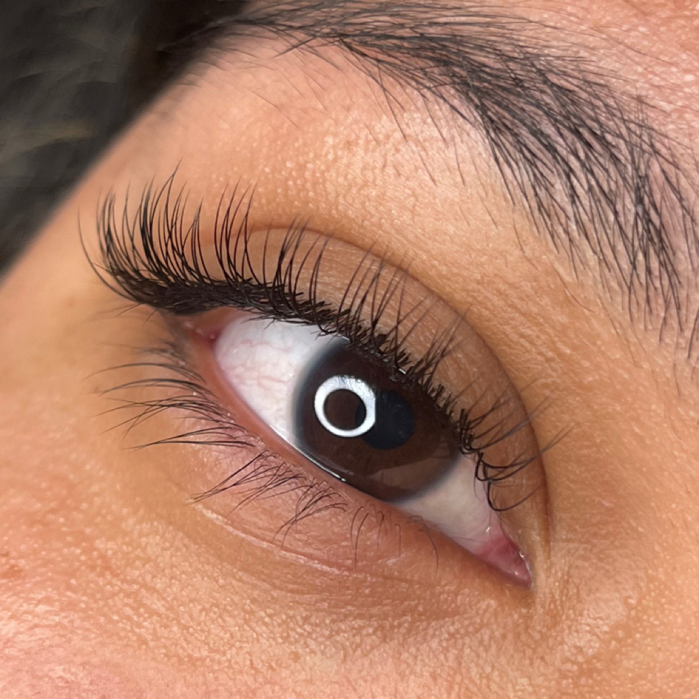Lash Maintenance at Lexesthetics in PLEASANT HILL, CA