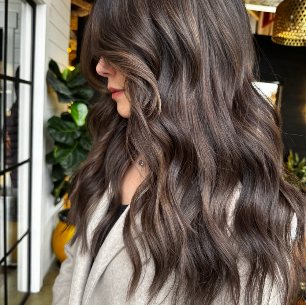 Color - The Statement