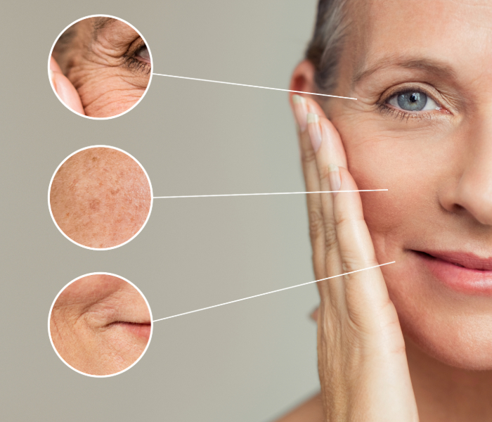 Anti-Aging Facial, Treatment