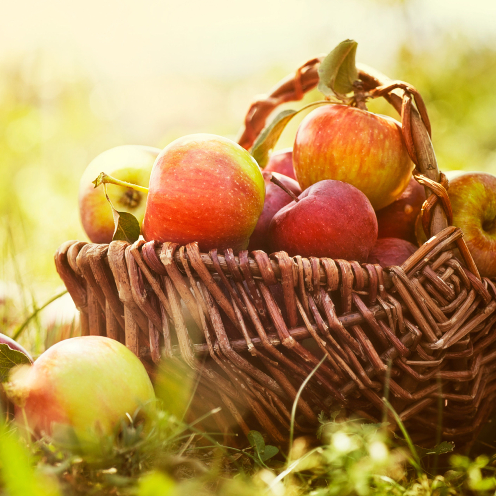 75 Min Apple Crisp Massage