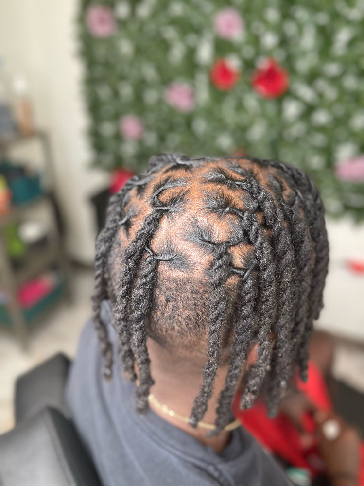Traditional Box Top Locs