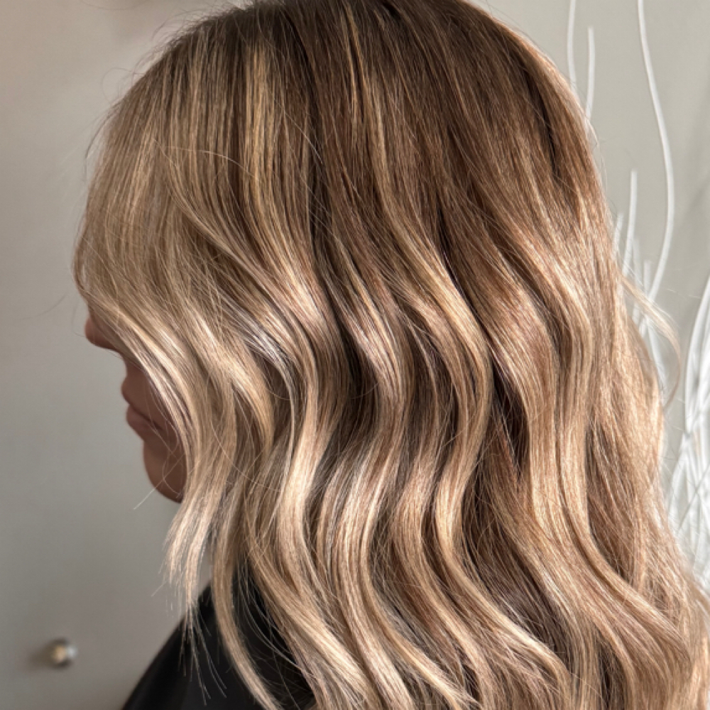 Root touchup highlights Cut style at Gosia’s Studio in Shelby Twp, MI