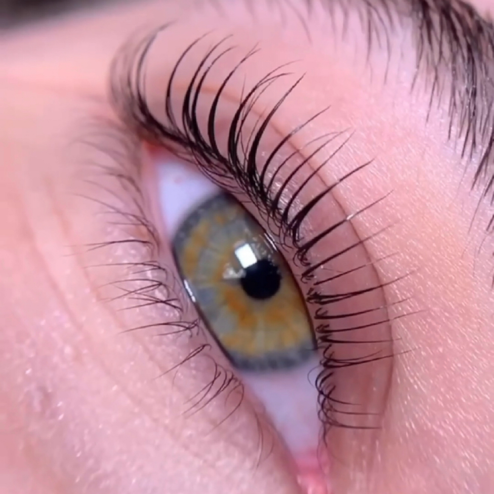 Lash Lift at Beauty Spa 11 in Mission, KS