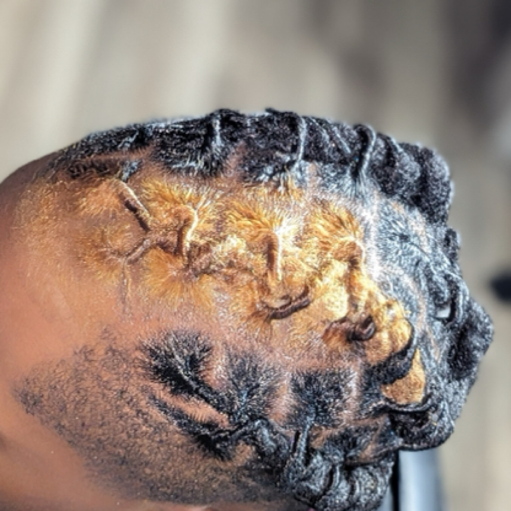 COLOR at QC Locs & Lashes in Fort Worth, TX