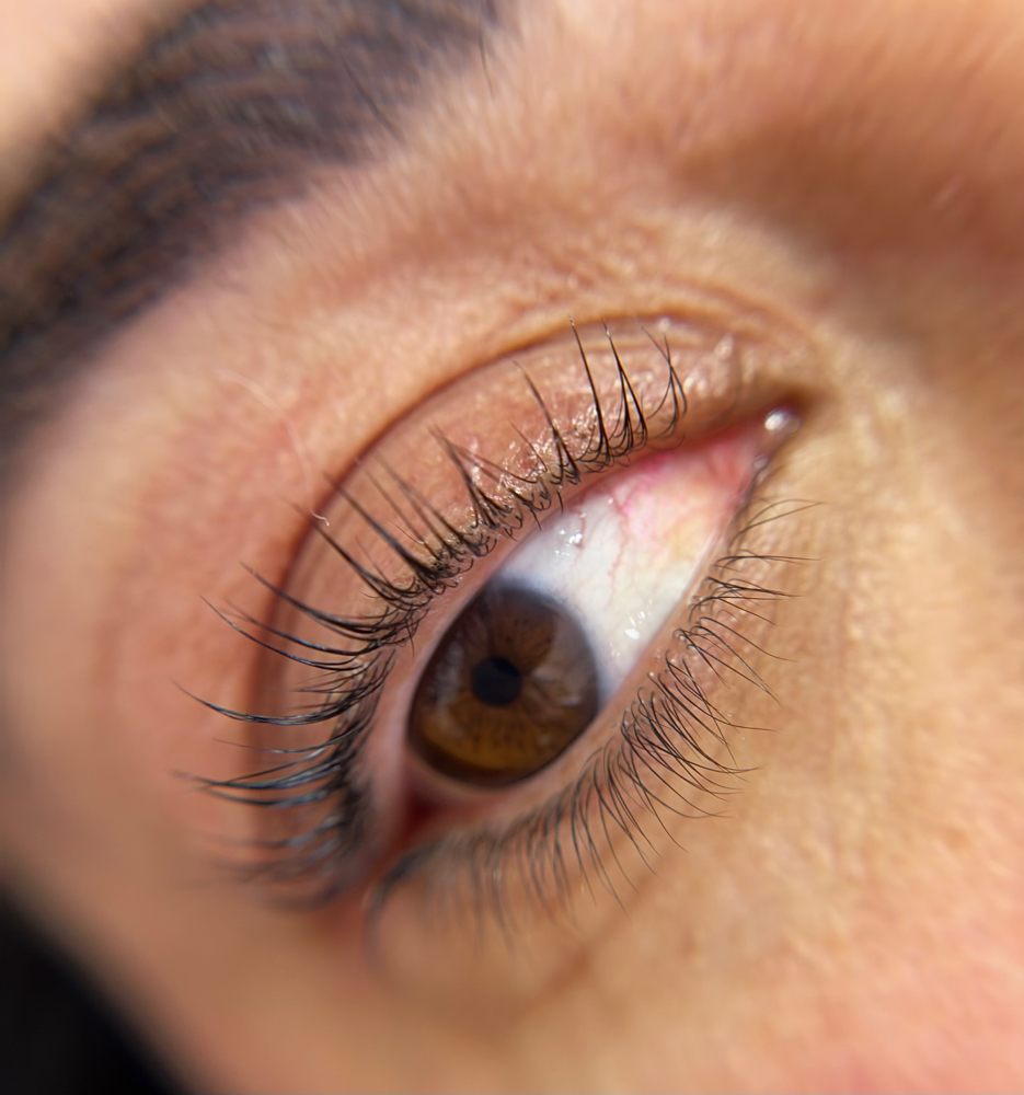 Lash Lift + Tint