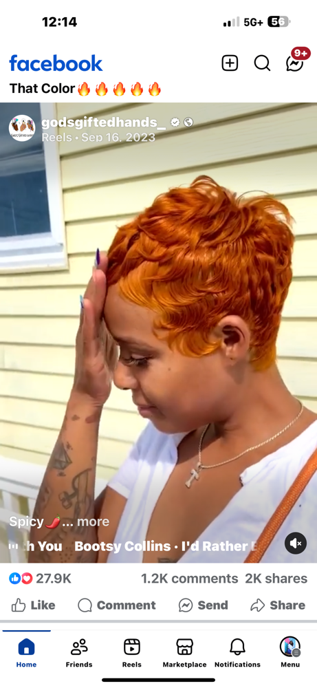 Temporary color (rinse) Only at Silked Artistry in Westland, MI