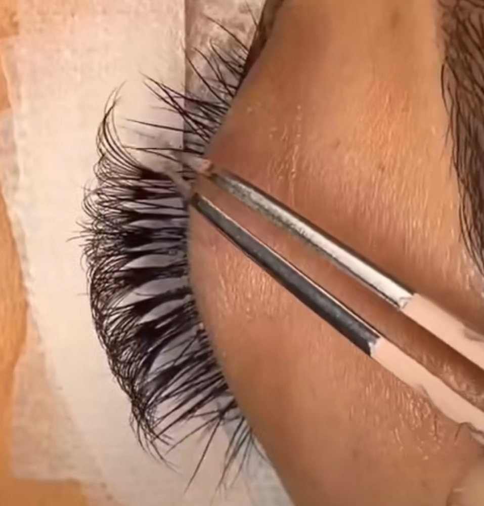 Lash Fill