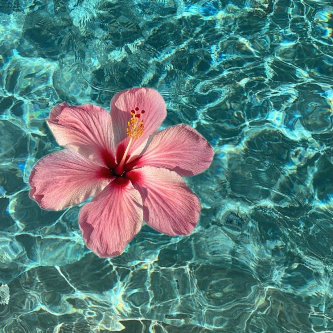 2 Week Fill at Lash World Studio in Live Oak, TX