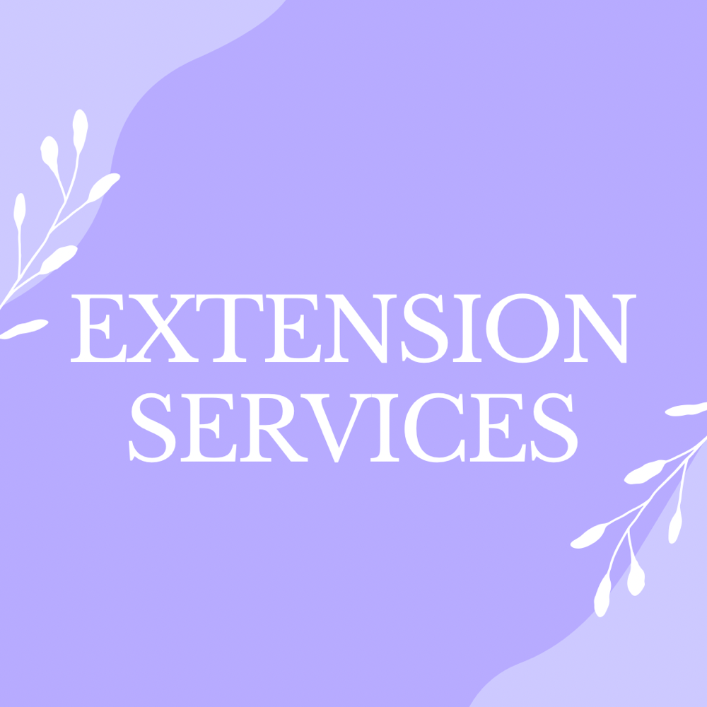 Extension Consultation
