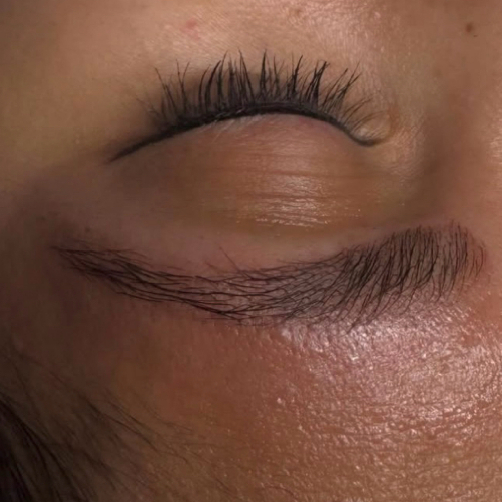Special: Brow Tint/ Wax/Lamination at Beauty by Daniella in Fuquay Varina, NC