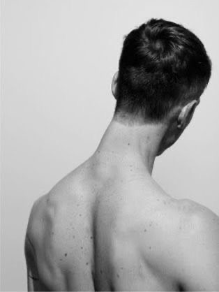 Shoulders