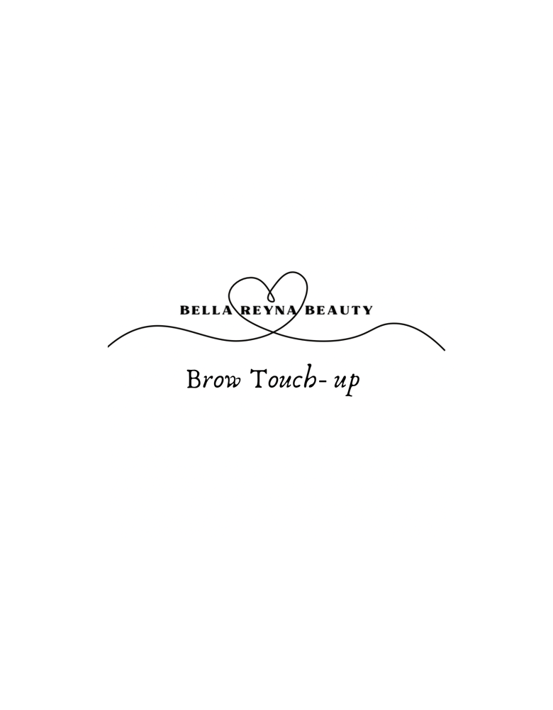 Microblading/Shading Brow Touchup