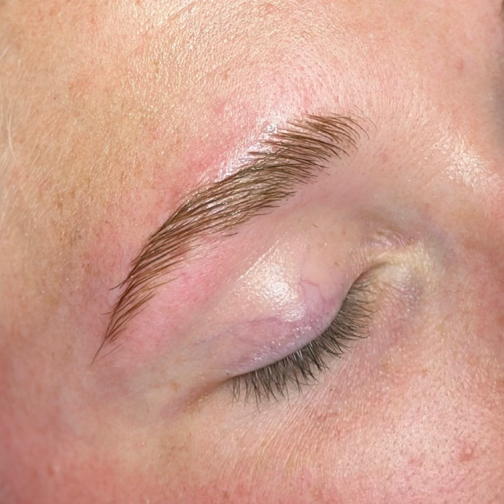 Brow Wax & Tint at Mantis Lashes in Sault Ste. Marie, MI