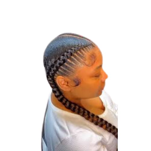 2 Stitch Braids at Shakiyla  Ross in Florissant, MO