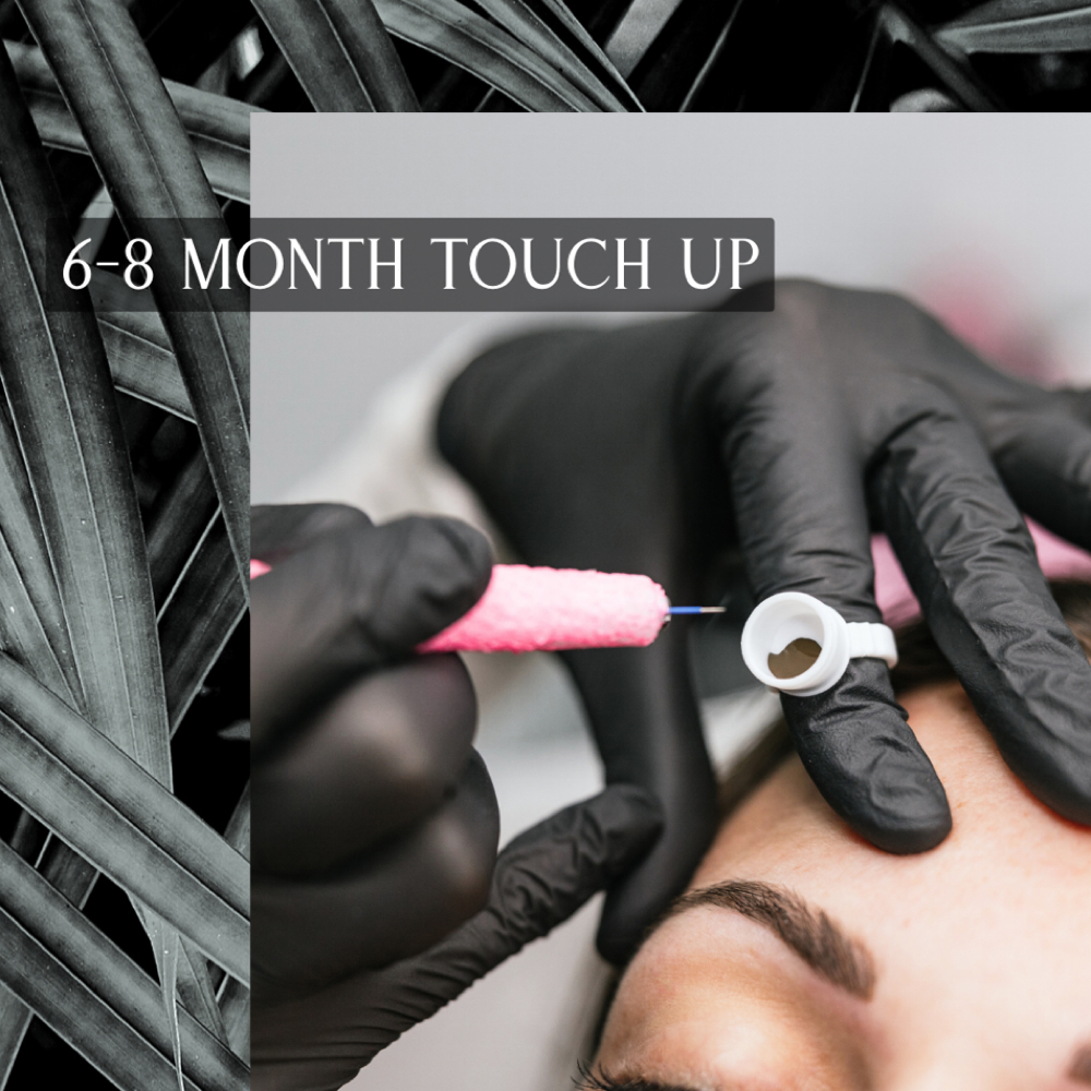 6-8 Month Touch Up at Craft Brow Microblade Academy in Murfreesboro, TN