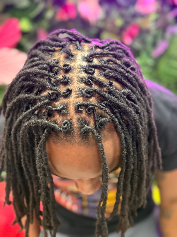 Loc Retwist