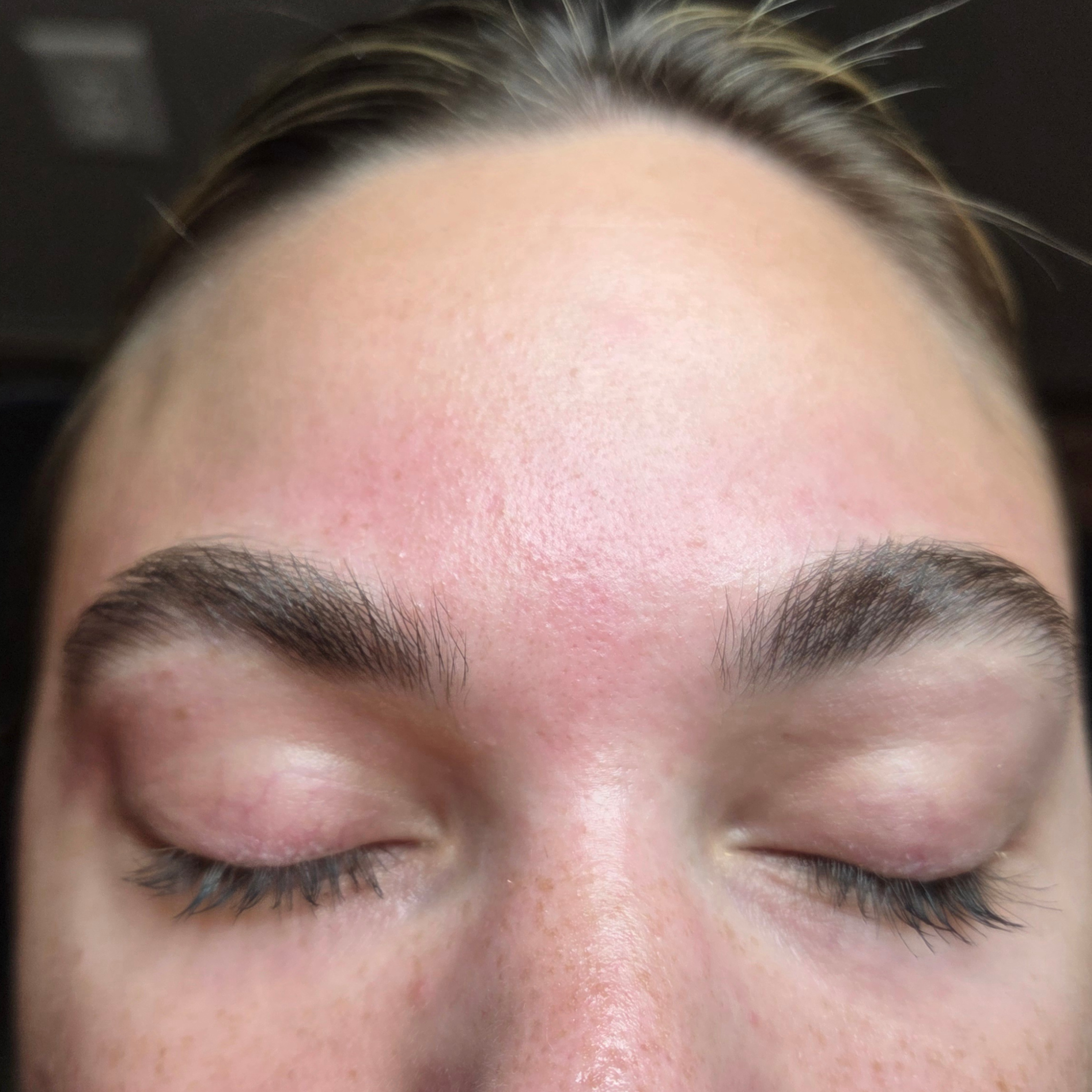 Brow Wax at Lotus in Bloom Esthetics in Brooklyn Center, MN
