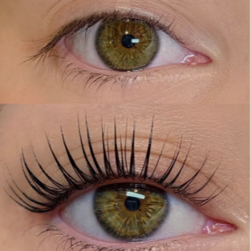 EYELASH TINT (NO LIFT) at Aesthetics of Denver in Denver, CO