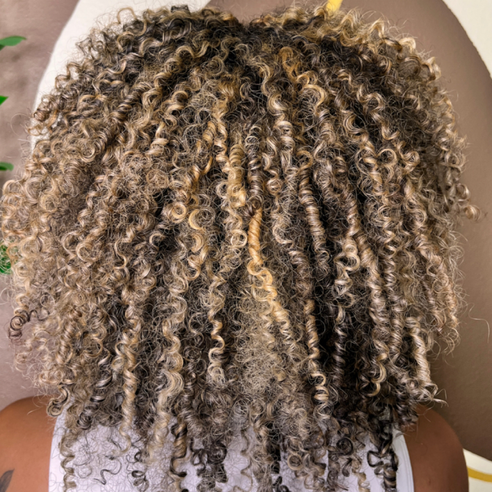 Dimensional Color at EmpoweredCurls in Charlotte, NC