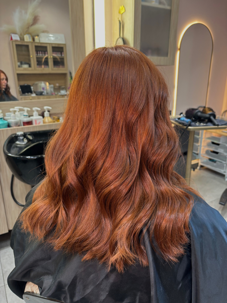 Going Darker (All Over Color) at Salon Suite 19 in Carmel, IN