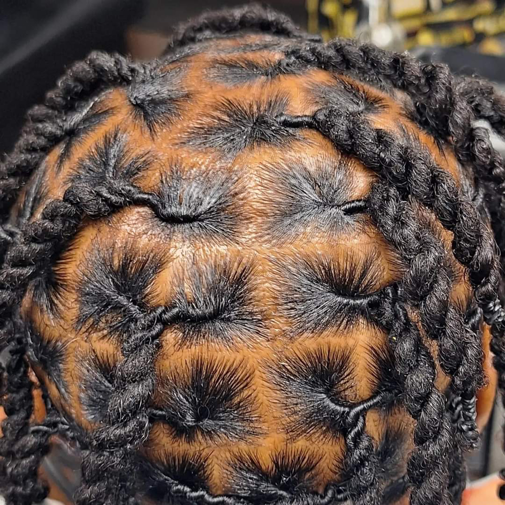 Loc Retwist