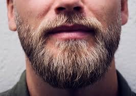 Mens Beard Trim