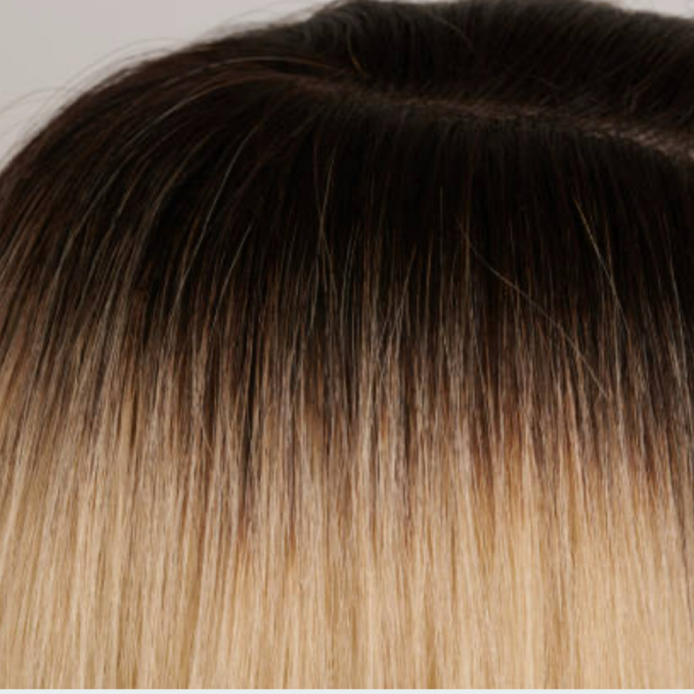 Shadow Root/Melt Add On at Color by Casey in Ocala, FL