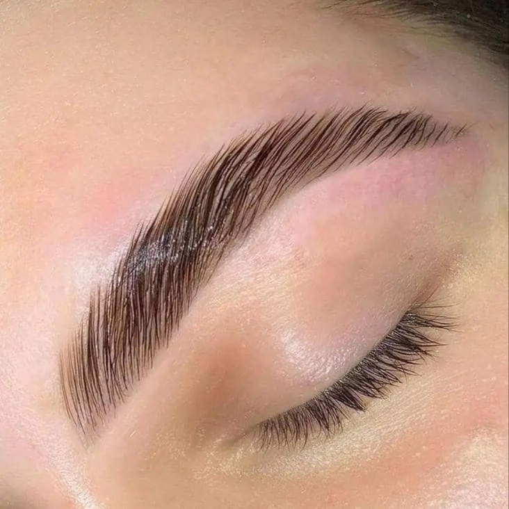 Brow Lamination at Omnia Esthetics in Menomonie, WI
