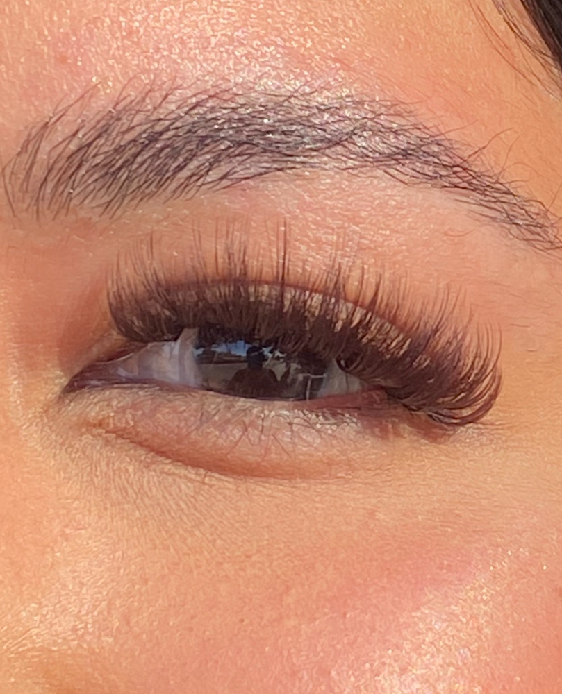 Full Set With Color - Brown Etc.