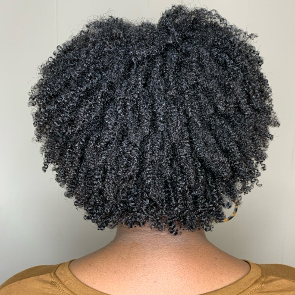 Dry Curly Cut at Milan Luxe Studio in Augusta, GA