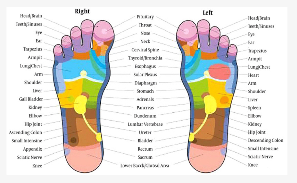 Foot Reflexology