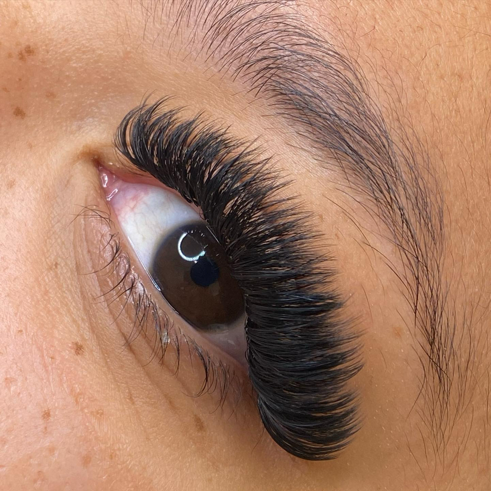 Volume 5 Week Fill at Ash’s Lashes in Apple Valley, MN