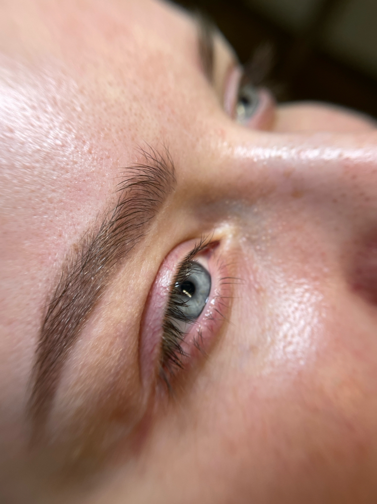 Refresh Eyebrows (only for my work)