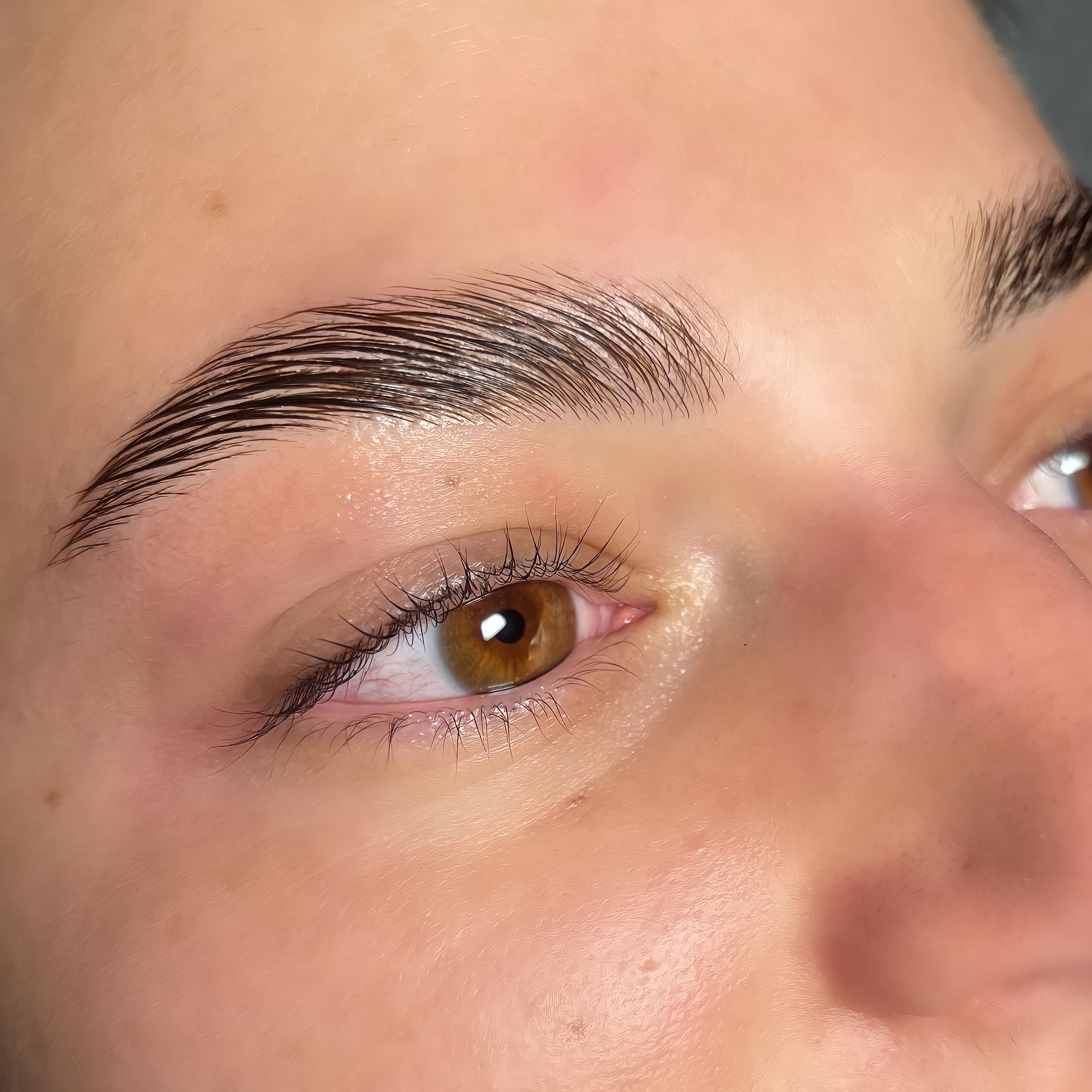 Eyebrow Lamination