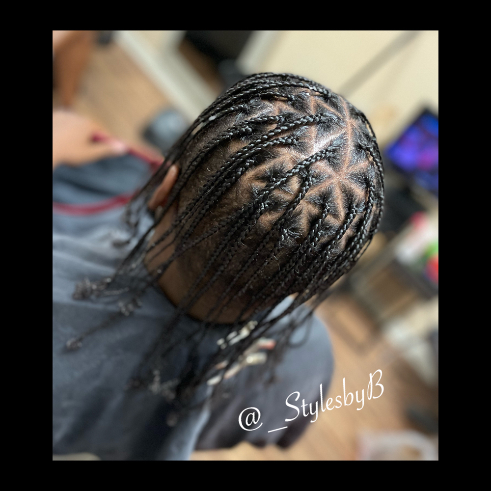 Braids Top Only (med-long)