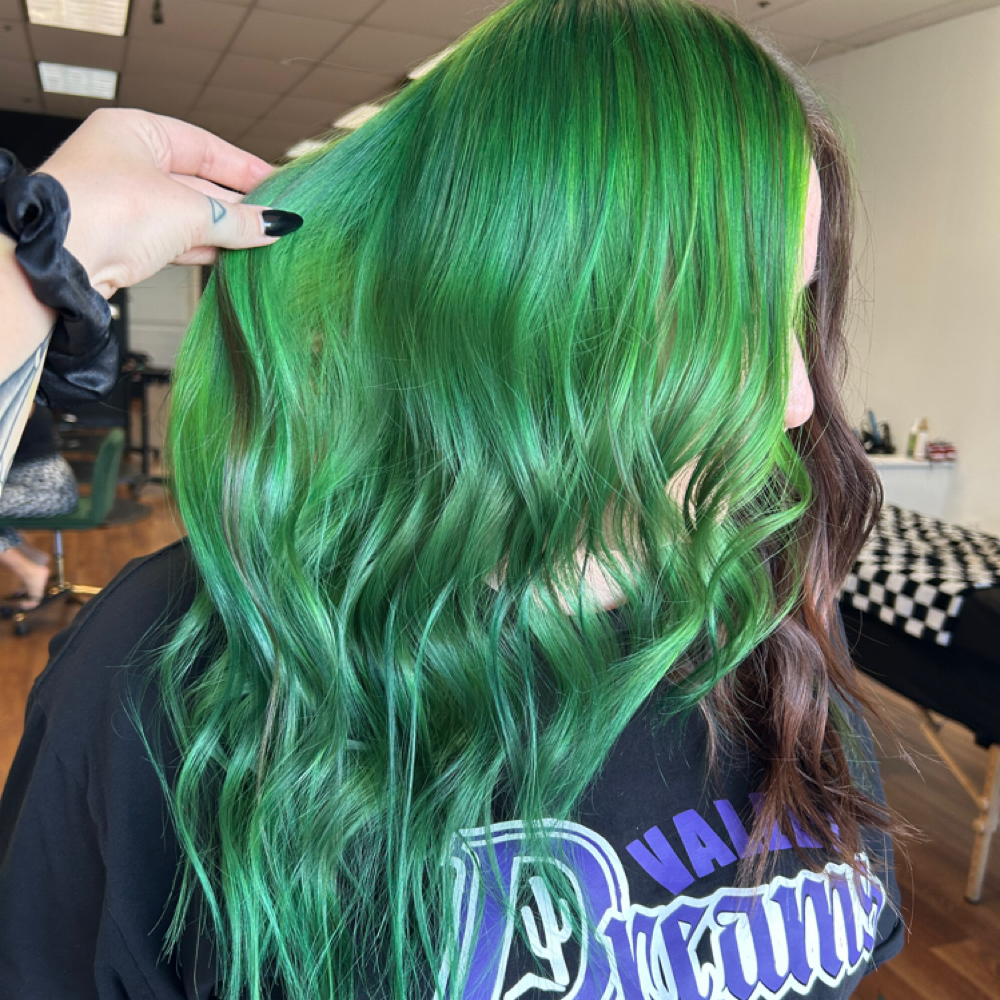 Half Head Color at Black Comb Society in Peoria, AZ