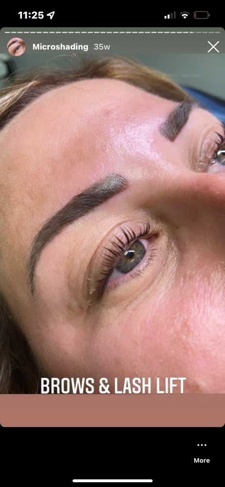 Micro Shading Brows